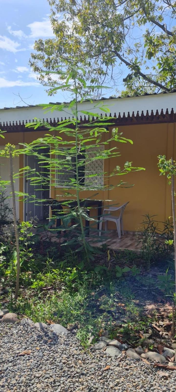 Apartamentos Sol Cahuita Rum bild